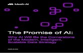 The Promise of AI
