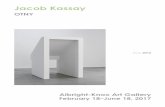 Jacob Kassay - Albright–Knox Art Gallery