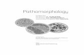 Pathomorphology - BALKA-BOOK
