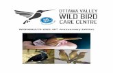 WINGBEATS 2021 40th Anniversary Edition - Wild Bird Care ...