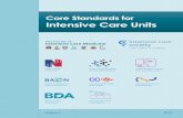Critical Care Core Standards for ICUDs - Home | RCSLT