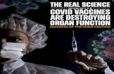 vaccine secrets: covid crisis