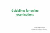 Guidelines for online examinations