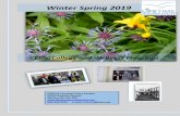 Winter Spring 2019