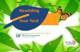 Rewilding Your Yard