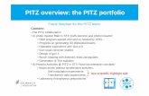 PITZ overview: the PITZ portfolio