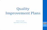 Presentation Slides: Quality Improvement Plans