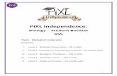PiXL Independence - Ark Globe Academy
