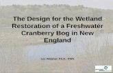 The Design for the Wetland Restoration of a Freshwater ...