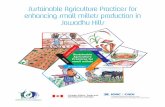 Sustainable Agriculture Practices for enhancing small ...