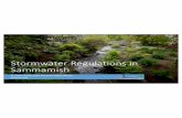 Stormwater Regulations in Sammamish