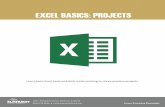 EXCEL BASICS: PROJECTS