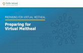 Preparing for Virtual Meitheal - Business Supports Hub