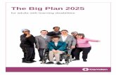 The Big Plan 2025