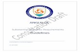 Anguilla Substantial Activities Requirements Guidance V