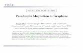 Pseudospin Magnetism in Graphene