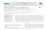 Biotin amelioration of nephrotoxicity in streptozotocin ...