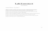 Lab Exercise 6