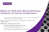 Effect of AGR Fuel-Brick End-Face Features on Stress ...