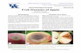 Plant Pathology Fact Sheet Fruit Diseases of Apple