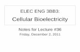 ELEC ENG 3BB3: Cellular Bioelectricity