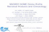 NNORSY-GOME Ozone Profile Retrieval Products and Climatology