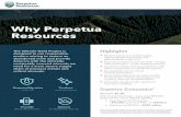 Why Perpetua Resources