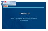 OB Chapter 28 powerpoint