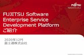 FUJITSU Software Enterprise Service Development Platform