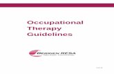 Occupational Therapy Guidelines - Berrien RESA