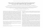APG-1252-12A induces mitochondria-dependent apoptosis ...