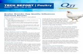 TECH REPORT | Poultry
