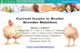 Broiler Breeder Nutrition Issues