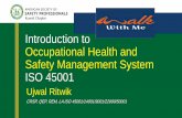 Introduction to Occupational Health and Safety Management ...