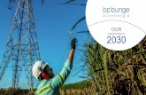 OUR 2030 - bpbunge.com.br