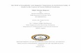 PhD Thesis Report - idr.mnit.ac.in