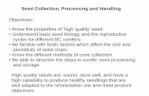 Seed Collection, Processing and Handling