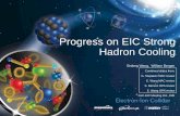 Progress on EIC Strong Hadron Cooling