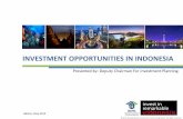 INVESTMENT OPPORTUNITIES IN INDONESIA - ANIE