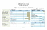 Labour Force and Child Labour Survey 2013