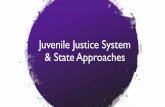Juvenile Justice System & State Approaches