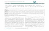 RESEARCH Open Access Effects of ulinastatin and docetaxel ...