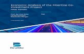 Economic Analysis of the FiberCop Co-investment Project