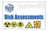 Risk Assessment Process - Yola