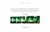 Post Completion Auditing at Heineken Nederland Supply