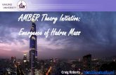 NANJING UNIVERSITY AMBER Theory Initiative: Emergence of ...