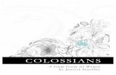 Colossians: A Study Guide for Women