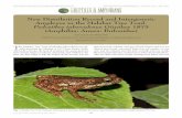 TABLE OF CONTENTS IRCF REPTILES & AMPHIBIANS • 24(3):193 ...