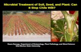 Microbial Treatment of Soil, Seed, and Plant: Can It Stop ...