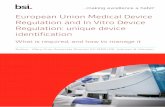 European Union Medical Device Regulation and In Vitro ...
